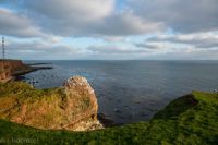 5 Helgoland Westkueste